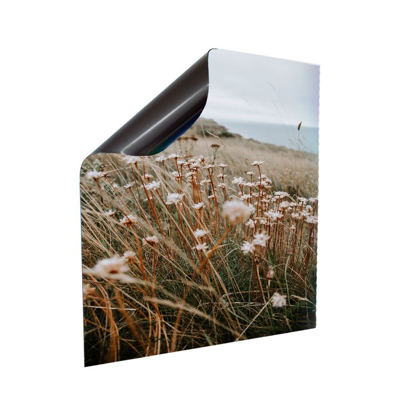 Stromkasten Magnet Bild Deko Stromverteiler Sicherungskasten Motiv Blumenwiese