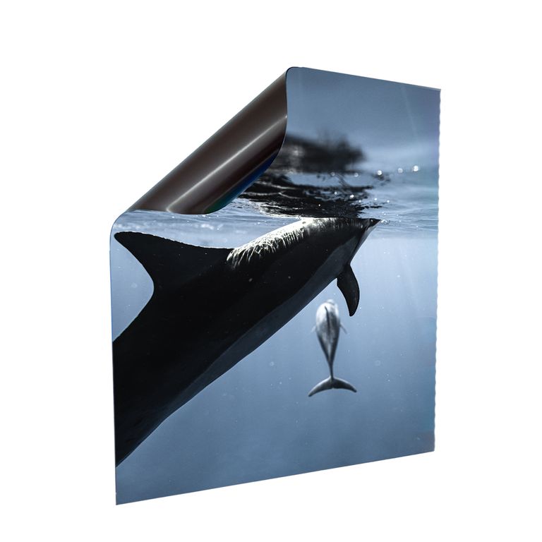 Stromkasten Magnet Bild Deko Stromverteiler Sicherungskasten Motiv Delfin