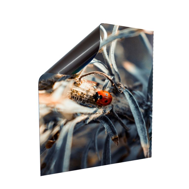 Stromkasten Magnet Bild Deko Stromverteiler Sicherungskasten Motiv Marienkäfer