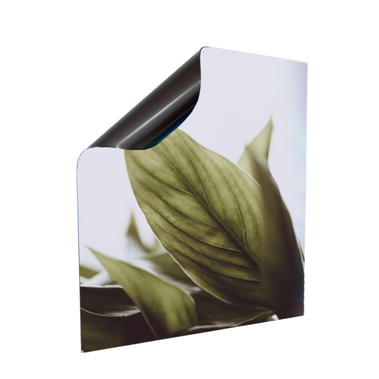 Stromkasten Magnet Bild Deko Stromverteiler Sicherungskasten Motiv Pflanze