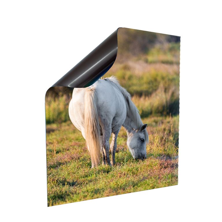 Stromkasten Magnet Bild Deko Stromverteiler Sicherungskasten Hager Motiv Pferd