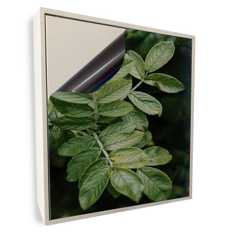 Stromkasten Magnet Bild Deko Stromverteiler Sicherungskasten Motiv Minze