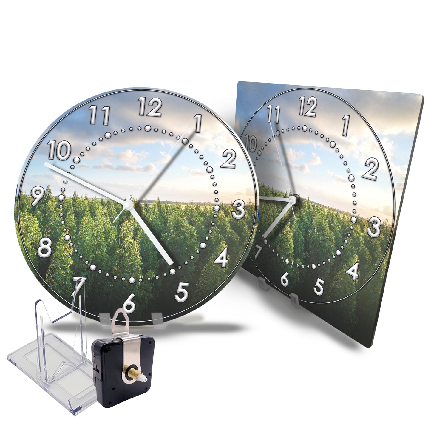 Hochwertige 30cm-Uhren Made in Alzenau Lautlose Uhr MDF Acryl Motiv Wald