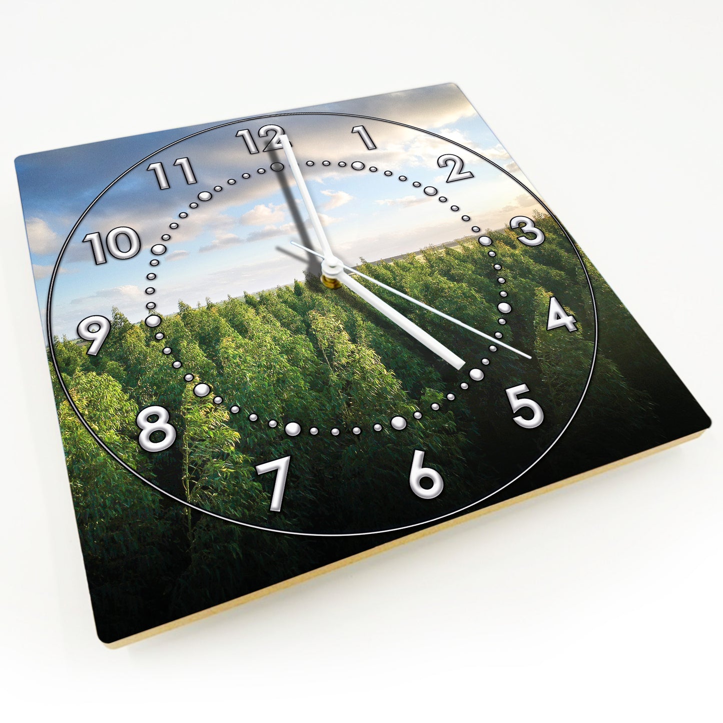 Hochwertige 30cm-Uhren Made in Alzenau Lautlose Uhr MDF Acryl Motiv Wald