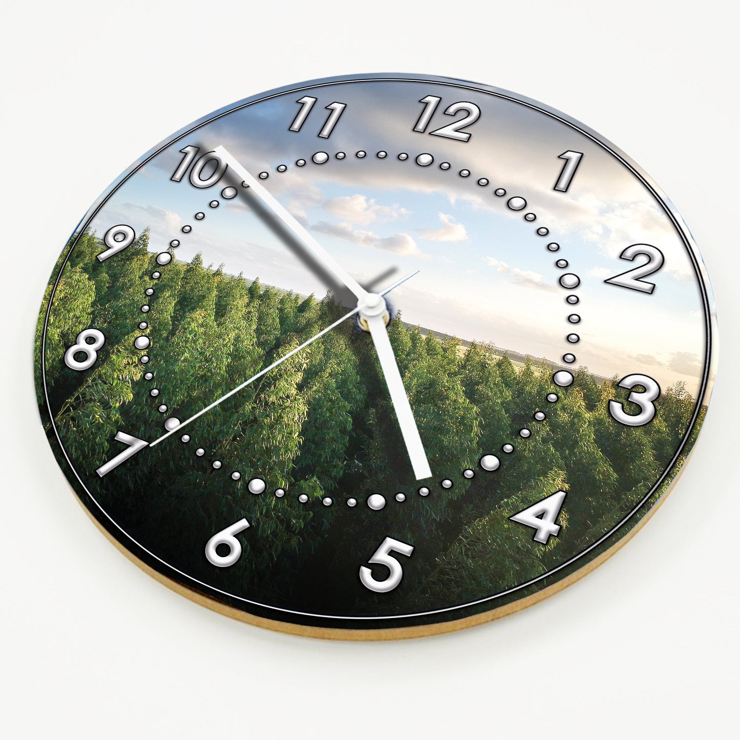 Hochwertige 30cm-Uhren Made in Alzenau Lautlose Uhr MDF Acryl Motiv Wald