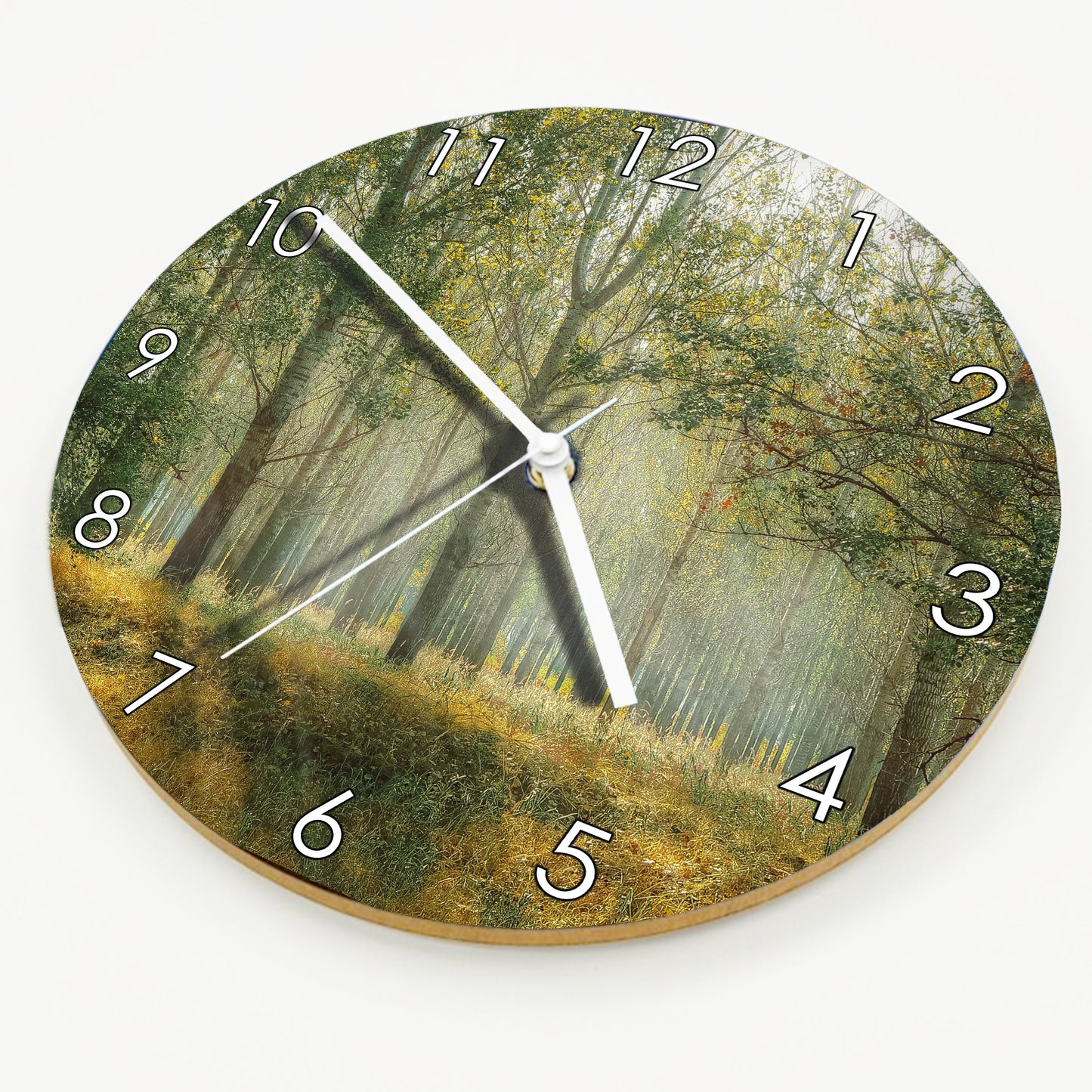 Hochwertige 30cm-Uhren Made in Alzenau Lautlose Uhr MDF Acryl Motiv Paradieswald