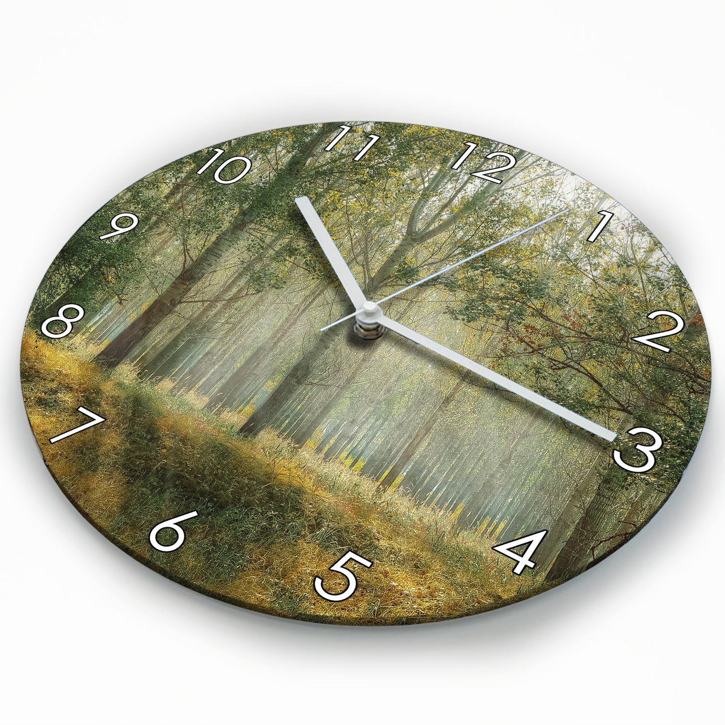 Hochwertige 30cm-Uhren Made in Alzenau Lautlose Uhr MDF Acryl Motiv Paradieswald