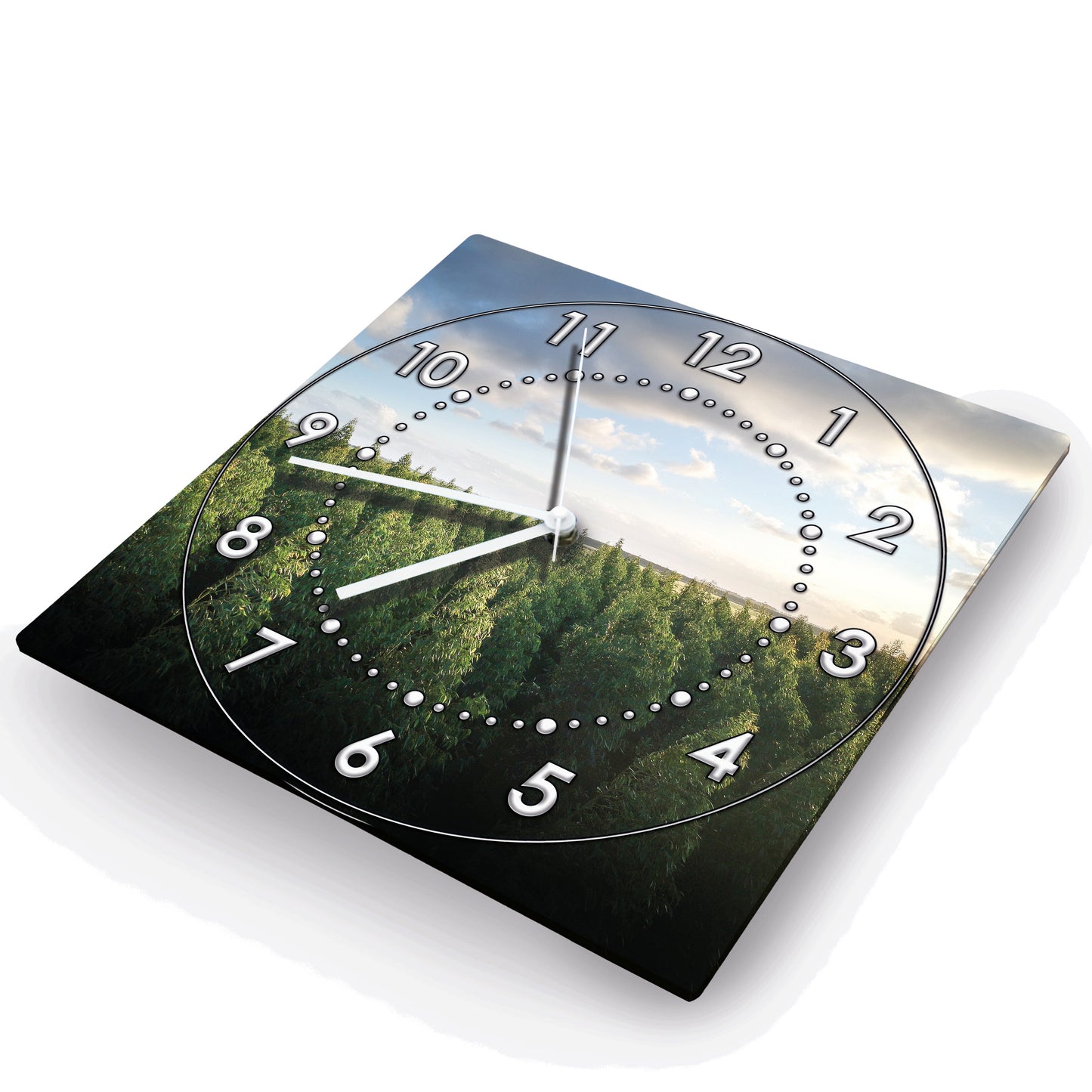 Hochwertige 30cm-Uhren Made in Alzenau Lautlose Uhr MDF Acryl Motiv Wald