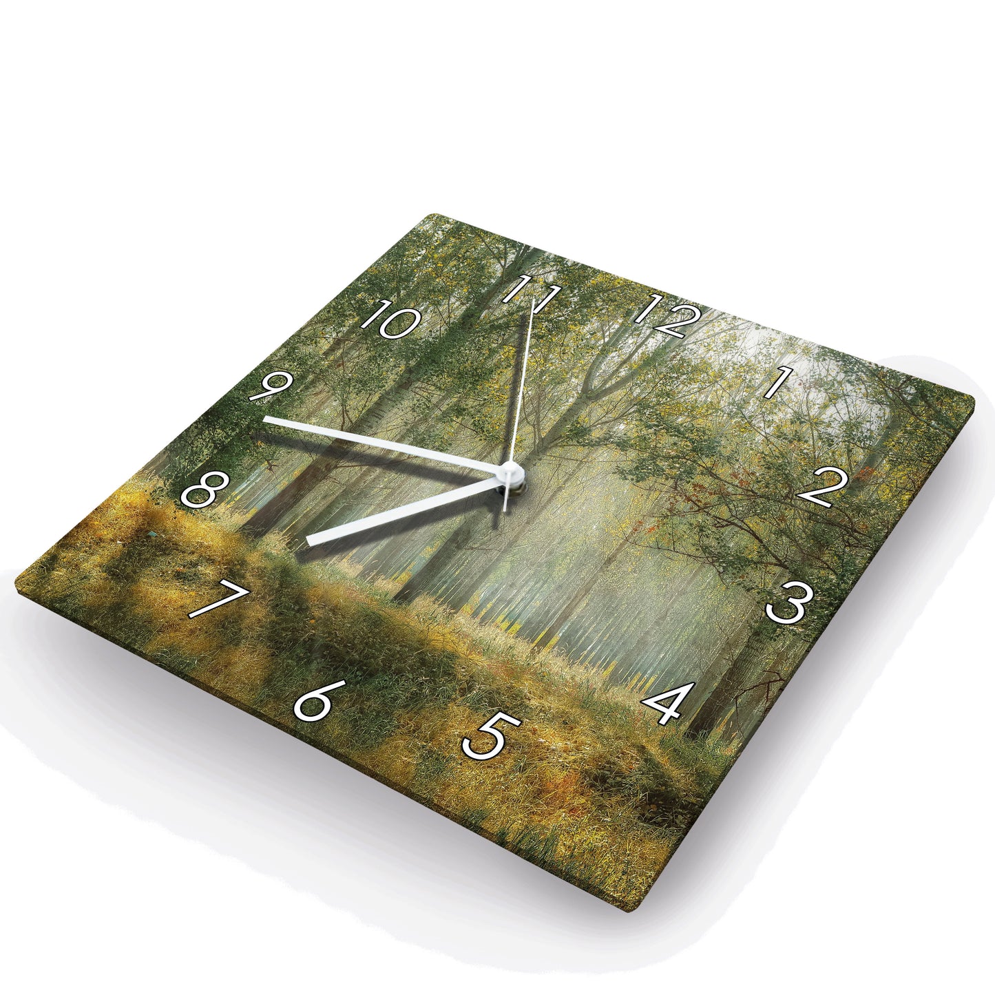 Hochwertige 30cm-Uhren Made in Alzenau Lautlose Uhr MDF Acryl Motiv Paradieswald