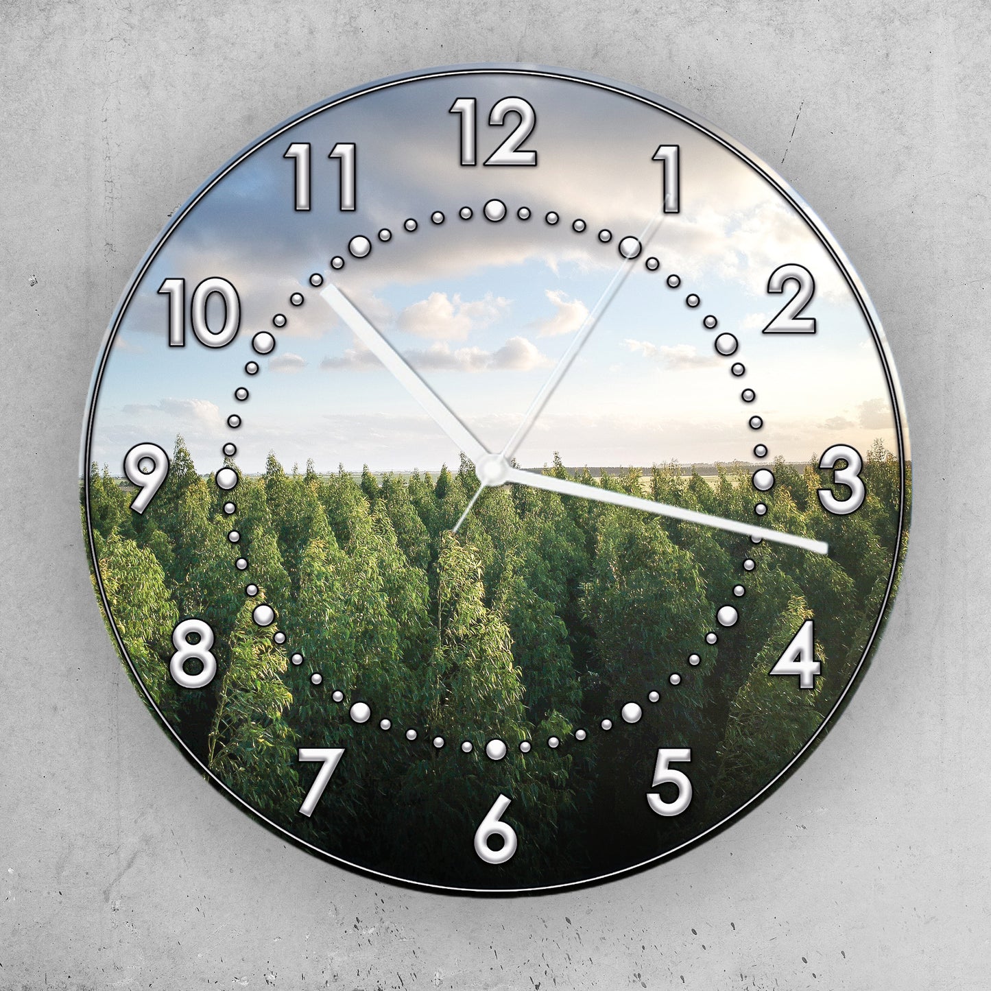 Hochwertige 30cm-Uhren Made in Alzenau Lautlose Uhr MDF Acryl Motiv Wald