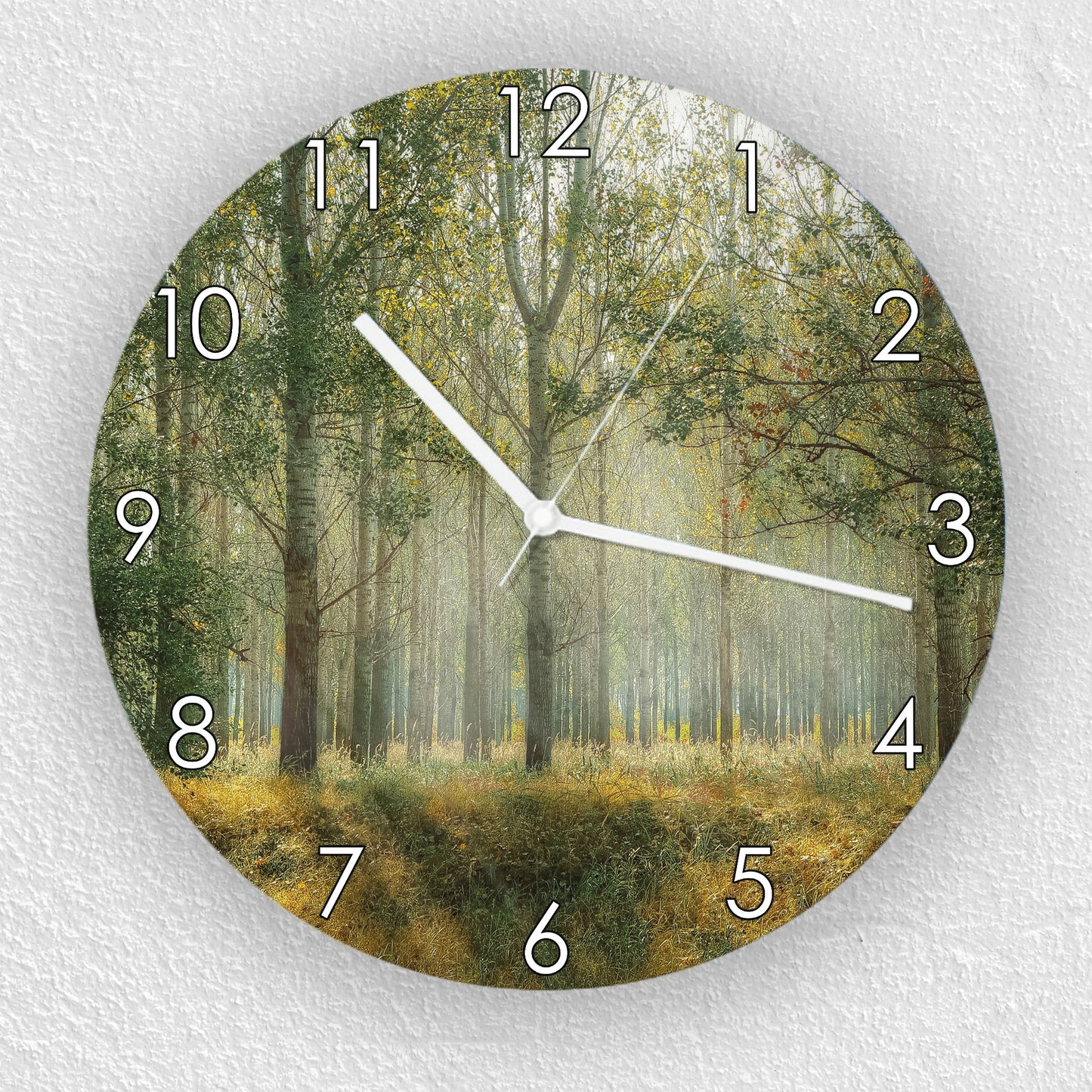 Hochwertige 30cm-Uhren Made in Alzenau Lautlose Uhr MDF Acryl Motiv Paradieswald