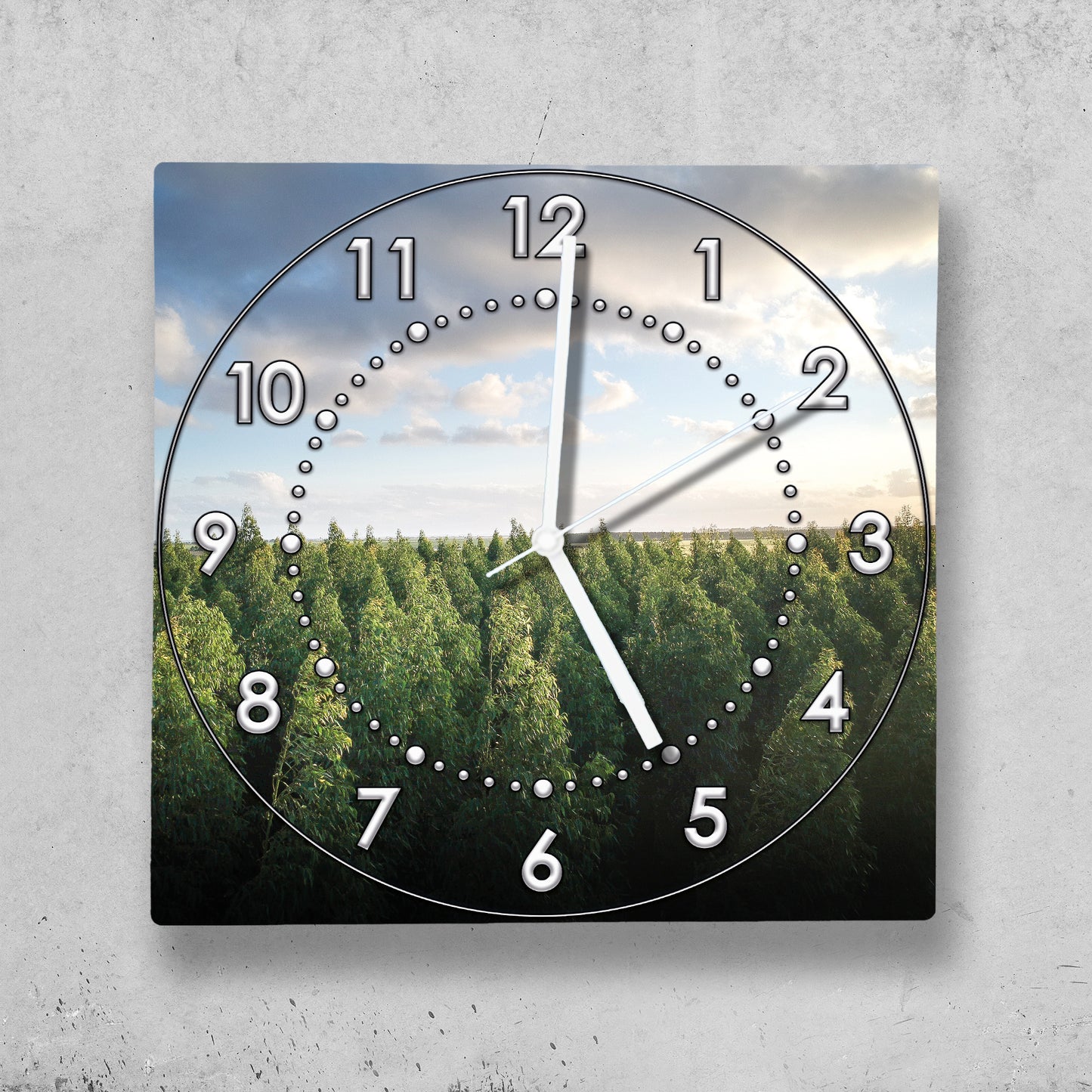 Hochwertige 30cm-Uhren Made in Alzenau Lautlose Uhr MDF Acryl Motiv Wald