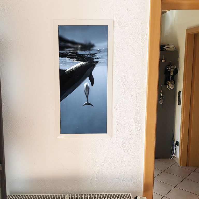 Stromkasten Magnet Bild Deko Stromverteiler Sicherungskasten Motiv Delfin