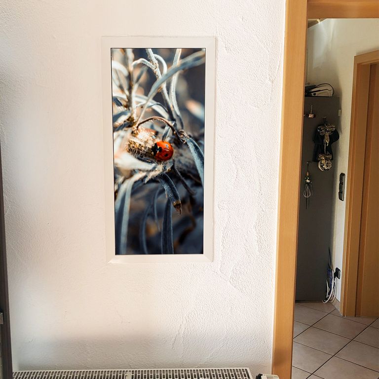 Stromkasten Magnet Bild Deko Stromverteiler Sicherungskasten Motiv Marienkäfer