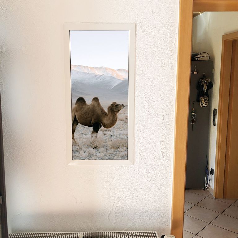 Stromkasten Magnet Bild Deko Stromverteiler Sicherungskasten Motiv Kamel