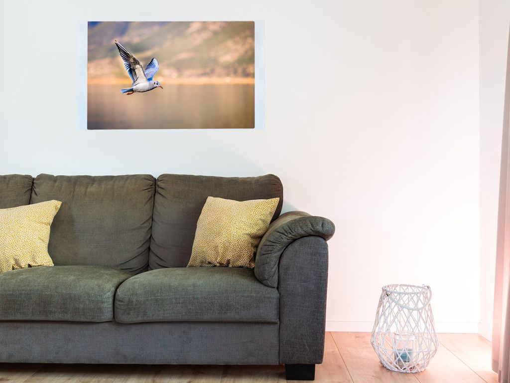 Magnetfolie Einzelbild - Hochwertiger Digitaldruck auf Magnetfolie Motiv Vogel