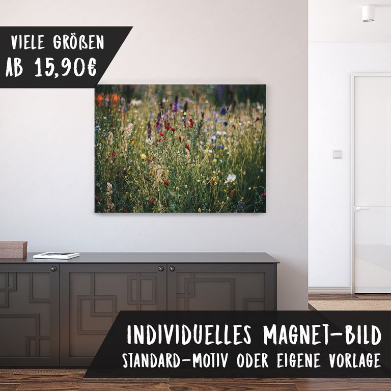 Magnetfolie Einzelbild - Hochwertiger Digitaldruck auf Magnetfolie Motiv Flowers