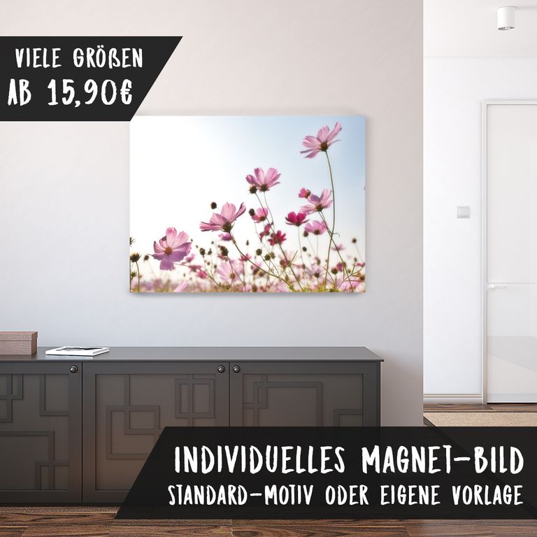 Magnetfolie Einzelbild - Hochwertiger Digitaldruck auf Magnetfolie Motiv Blumen