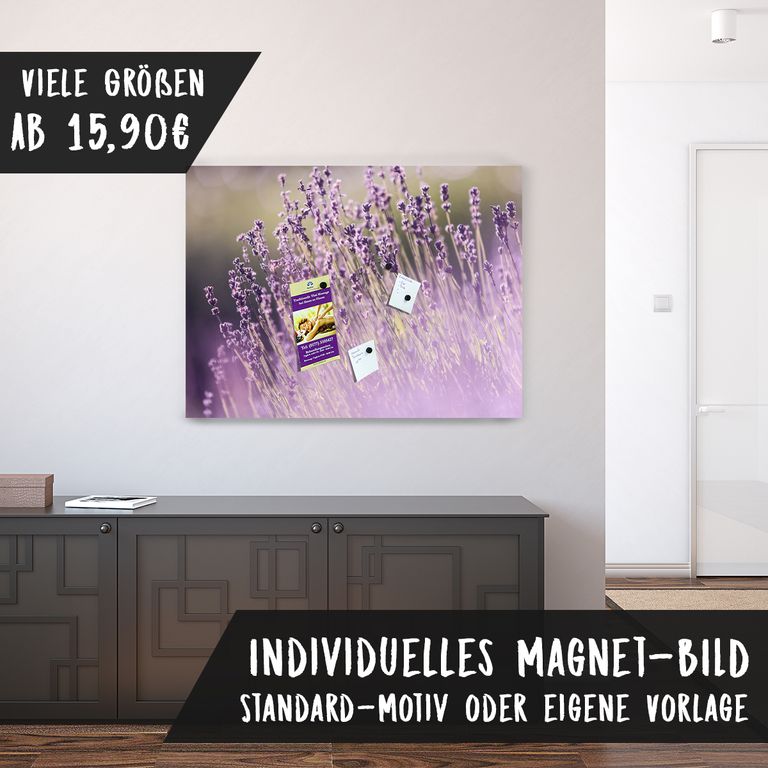 Magnetfolie Einzelbild - Hochwertiger Digitaldruck auf Magnetfolie Motiv Lavendel