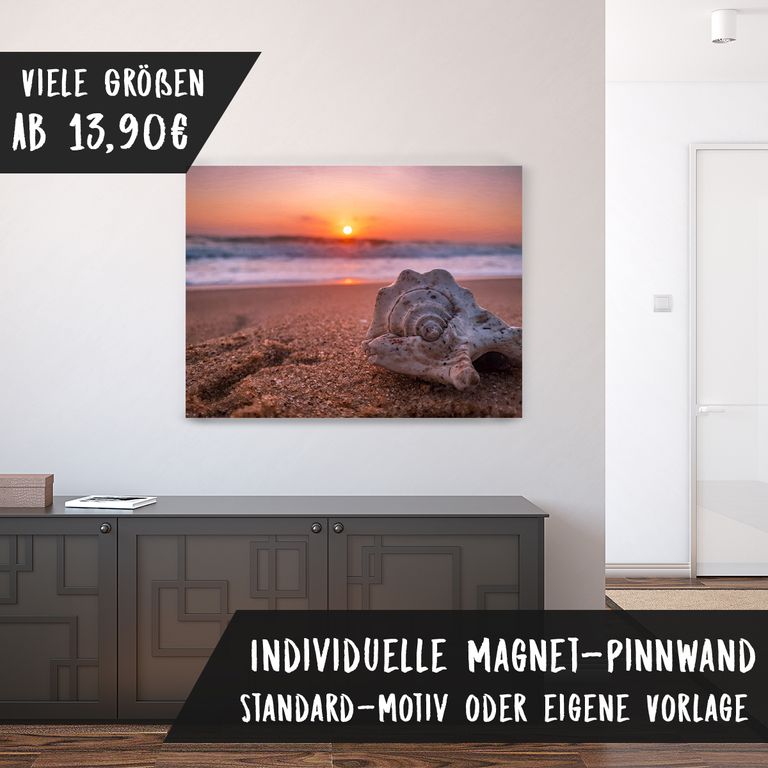 Bedruckte Magnetpinnwand Eisenfolie Whiteboard Magnetwand Motiv Muschel