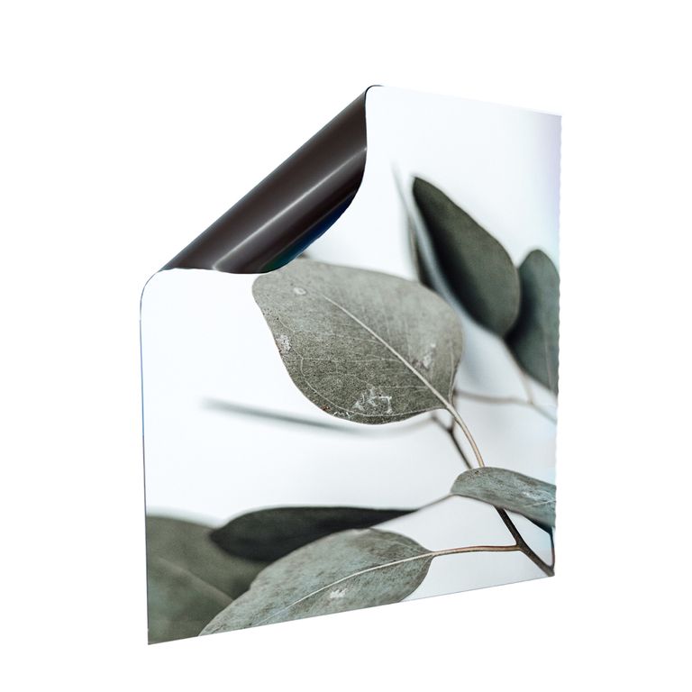 Stromkasten Magnet Bild Deko Stromverteiler Sicherungskasten Motiv Eukalyptus