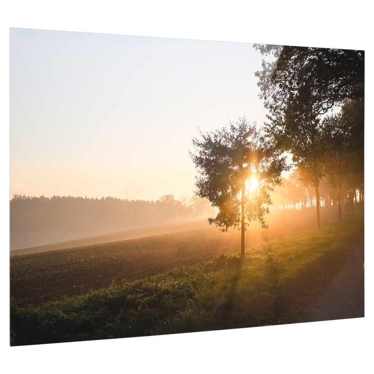 Bedrucktes Acrylglas als Magnetwand, Küchen-Hintergrund, Motiv: Sonnenuntergang