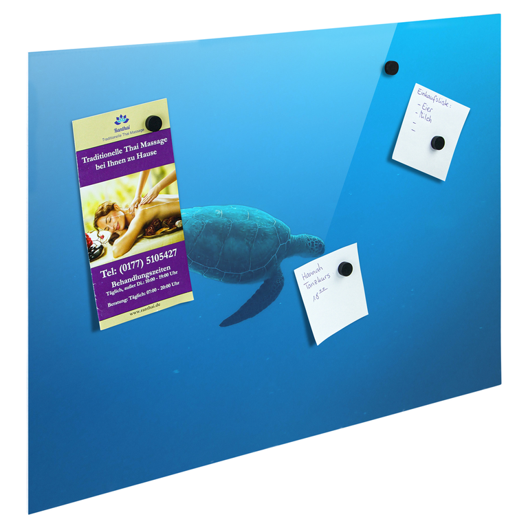 Bedrucktes Acrylglas als Magnetwand, Küchen-Hintergrund, Motiv: Wasser-Schildkröte