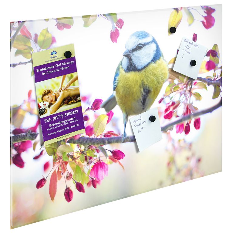 Bedrucktes Acrylglas als Magnetwand, Küchen-Hintergrund, Motiv Bird