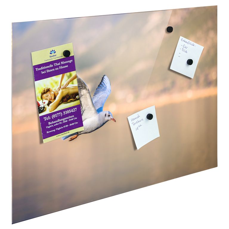 Bedrucktes Acrylglas als Magnetwand, Küchen-Hintergrund, Motiv Vogel