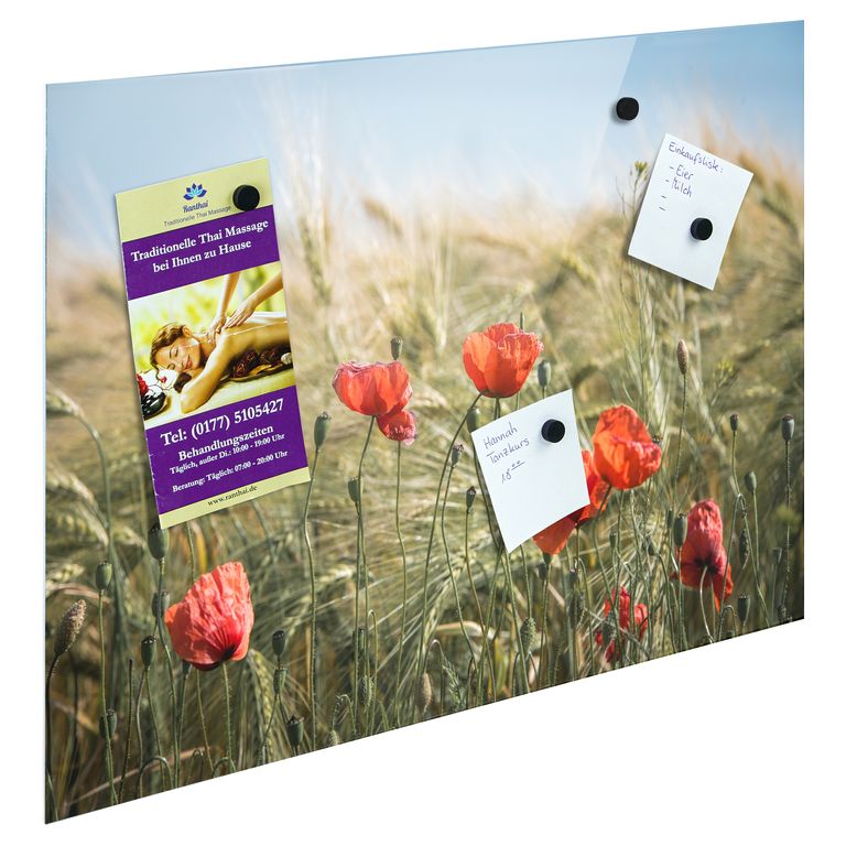 Bedrucktes Acrylglas als Magnetwand, Küchen-Hintergrund, Motiv Mohnblumen