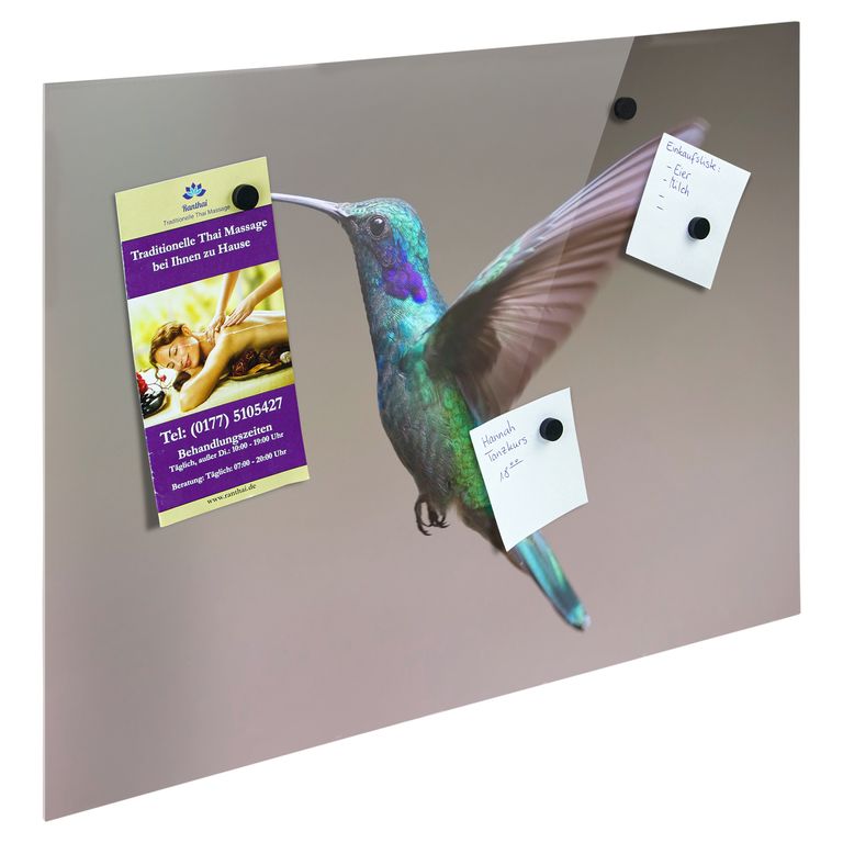 Bedrucktes Acrylglas als Magnetwand, Küchen-Hintergrund, Motiv Kolibri