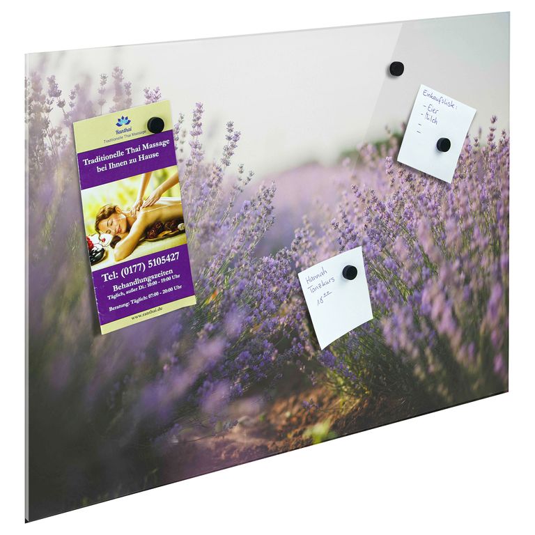 Bedrucktes Acrylglas als Magnetwand, Küchen-Hintergrund, Motiv Lavendelfeld