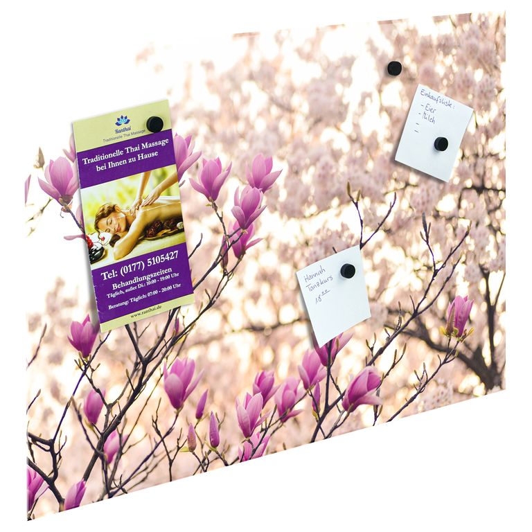 Bedrucktes Acrylglas als Magnetwand, Küchen-Hintergrund, Motiv Magnolia