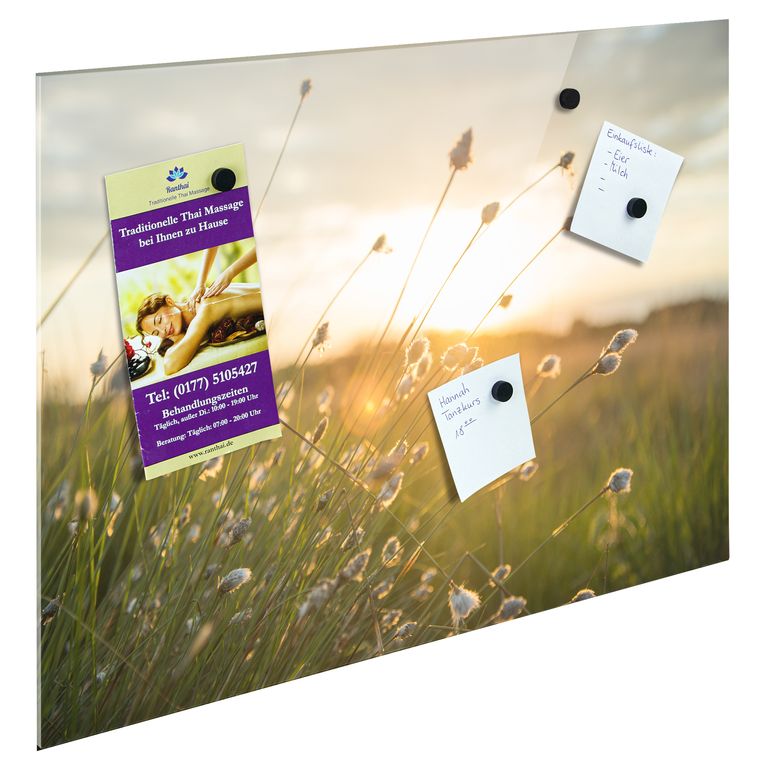 Bedrucktes Acrylglas als Magnetwand, Küchen-Hintergrund, Motiv Grashalm
