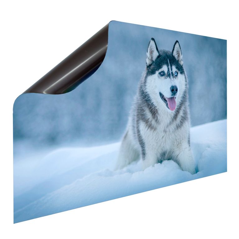 Magnet Heizkörperverkleidung Heizkörperabdeckung Heizung Schutz Motiv Husky