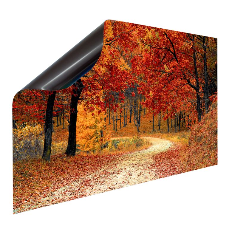 Magnetfolie Einzelbild - Hochwertiger Digitaldruck auf Magnetfolie Motiv Herbst