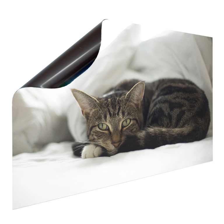 Magnet Heizkörperverkleidung Heizkörperabdeckung Heizung Schutz Motiv Katze