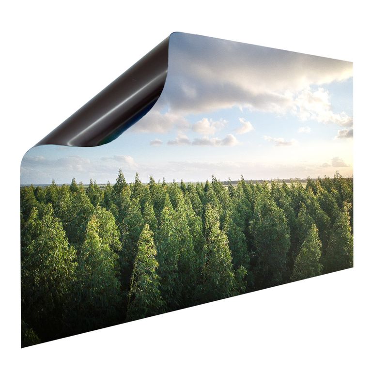 Magnet Heizkörperverkleidung Heizkörperabdeckung Heizung Schutz Motiv Wald