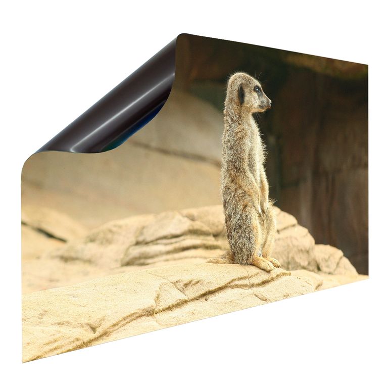 Magnet Heizkörperverkleidung Heizkörperabdeckung Heizung Schutz Motiv Erdmännchen