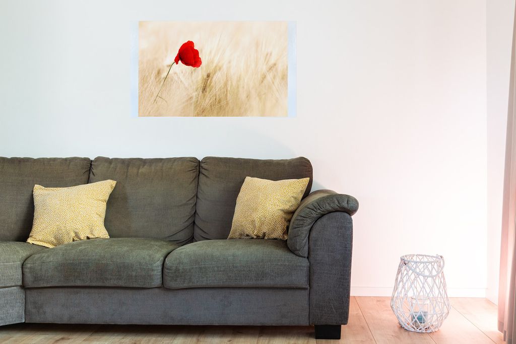 Bedruckte Magnetpinnwand Eisenfolie Whiteboard Magnetwand Motiv Mohnblume