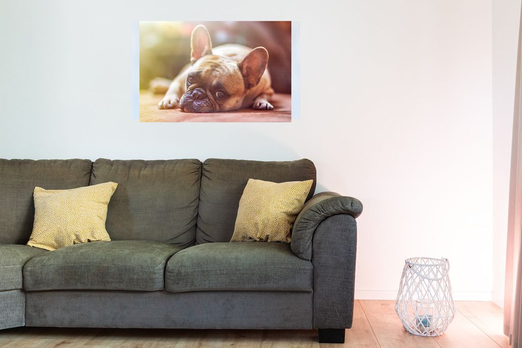 Bedruckte Magnetpinnwand Eisenfolie Whiteboard Magnetwand Motiv Hund