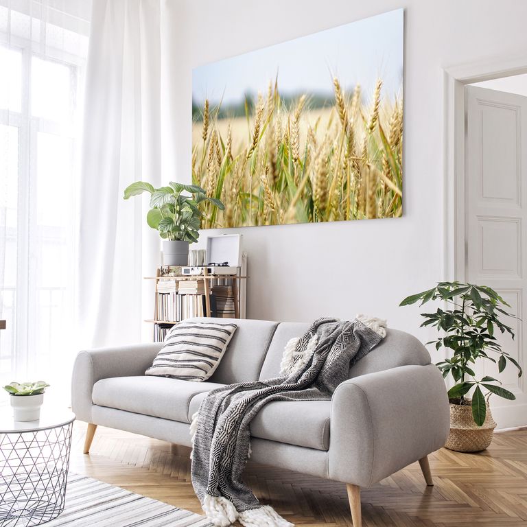 Bedrucktes Acrylglas als Magnetwand, Küchen-Hintergrund, Motiv Weizen