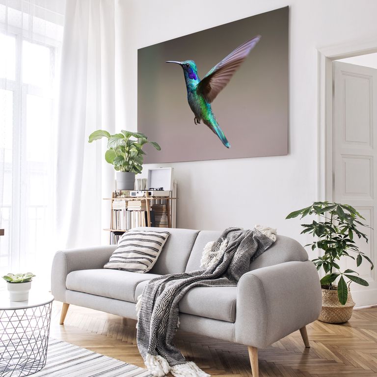 Bedrucktes Acrylglas als Magnetwand, Küchen-Hintergrund, Motiv Kolibri