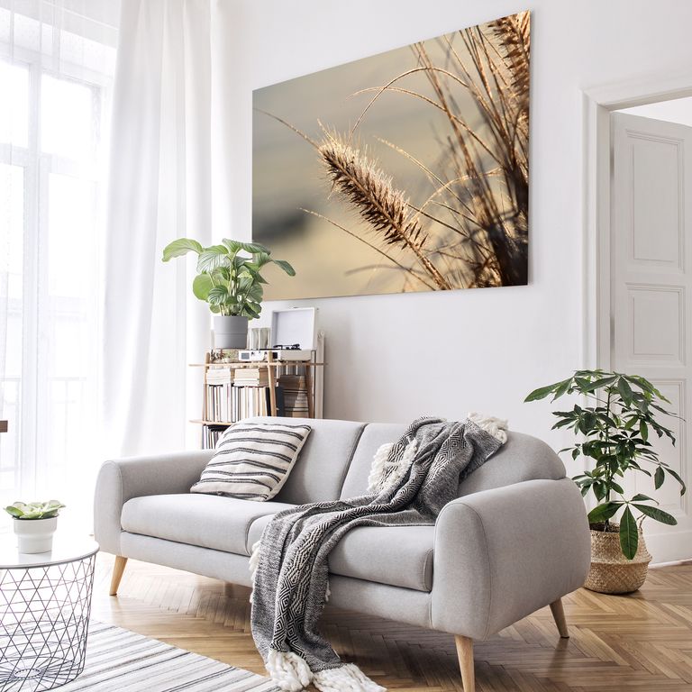 Bedrucktes Acrylglas als Magnetwand, Küchen-Hintergrund, Motiv Grass