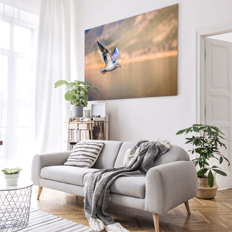 Bedrucktes Acrylglas als Magnetwand, Küchen-Hintergrund, Motiv Vogel