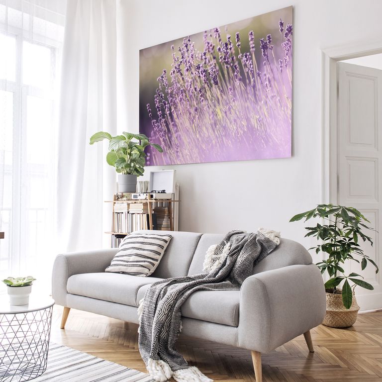 Bedrucktes Acrylglas als Magnetwand, Küchen-Hintergrund, Motiv Lavendel