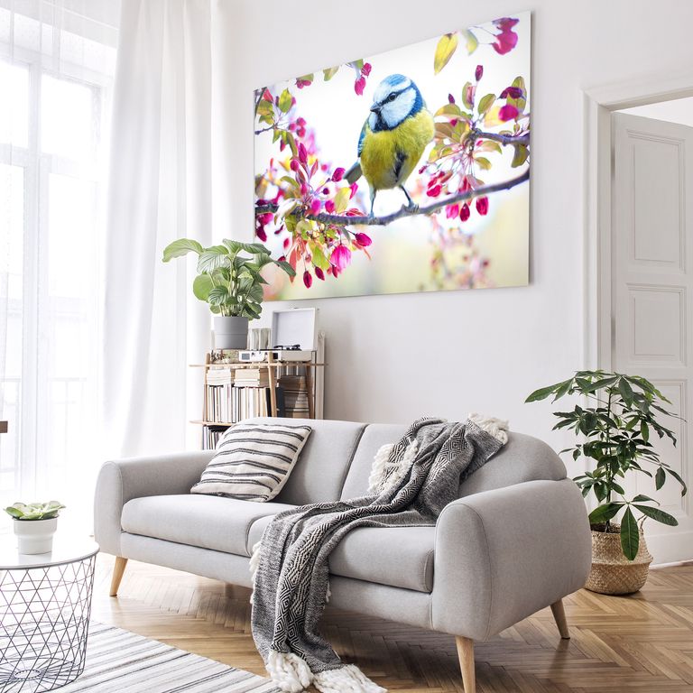 Bedrucktes Acrylglas als Magnetwand, Küchen-Hintergrund, Motiv Bird