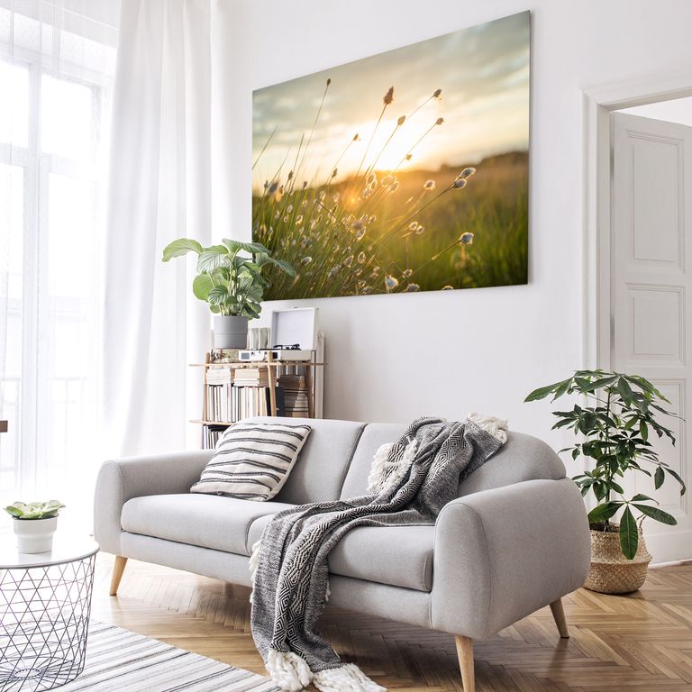 Bedrucktes Acrylglas als Magnetwand, Küchen-Hintergrund, Motiv Grashalm