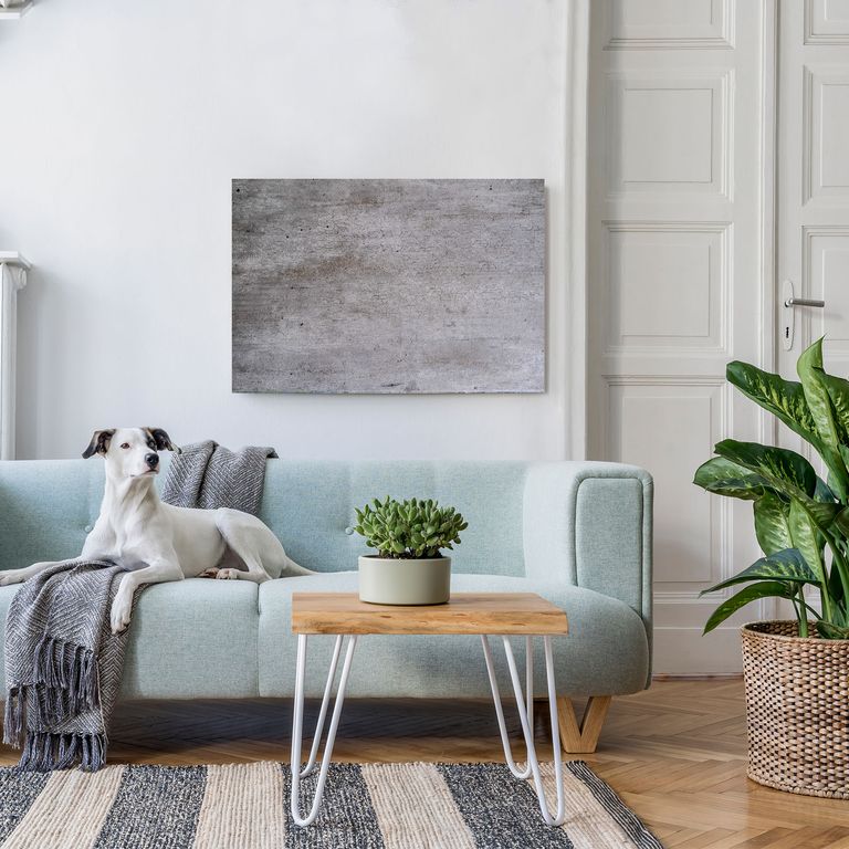 Bedrucktes Acrylglas als Magnetwand, Küchen-Hintergrund, Motiv: Beton-Wand