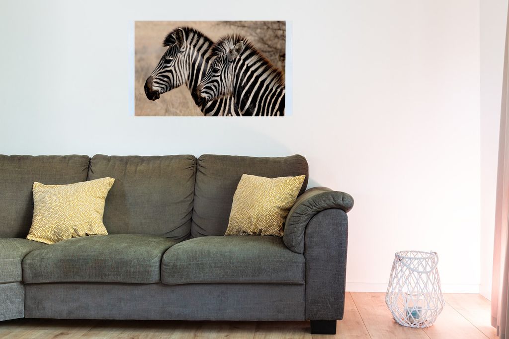 Bedruckte Magnetpinnwand Eisenfolie Whiteboard Magnetwand Motiv Zebra